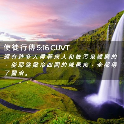 Picture 02 - 使 徒 行 傳 5:16 CUVT - 還 有 許 多 人 帶 著 病 人 和 被 污 - Bible Verse Picture