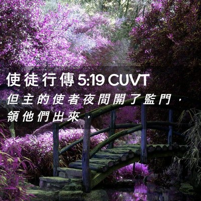Picture 02 - 使 徒 行 傳 5:19 CUVT - 但 主 的 使 者 夜 間 開 了 監 門 ， - Bible Verse Picture