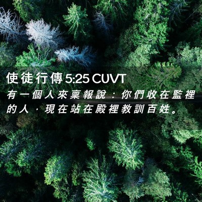 Picture 02 - 使 徒 行 傳 5:25 CUVT - 有 一 個 人 來 稟 報 說 ： 你 們 收 - Bible Verse Picture