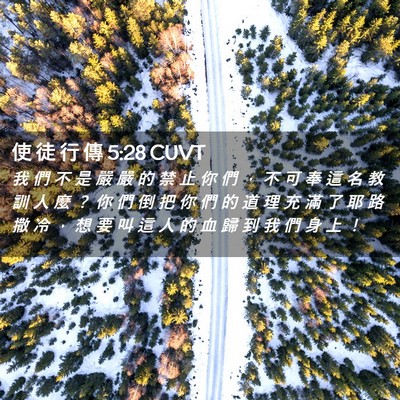 Picture 02 - 使 徒 行 傳 5:28 CUVT - 我 們 不 是 嚴 嚴 的 禁 止 你 們 ， - Bible Verse Picture