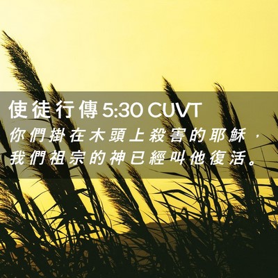 Picture 02 - 使 徒 行 傳 5:30 CUVT - 你 們 掛 在 木 頭 上 殺 害 的 耶 穌 - Bible Verse Picture