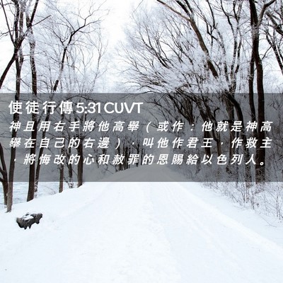 Picture 02 - 使 徒 行 傳 5:31 CUVT - 神 且 用 右 手 將 他 高 舉 （ 或 作 - Bible Verse Picture