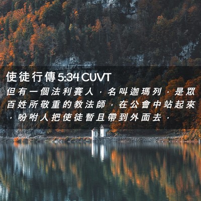 Picture 02 - 使 徒 行 傳 5:34 CUVT - 但 有 一 個 法 利 賽 人 ， 名 叫 迦 - Bible Verse Picture