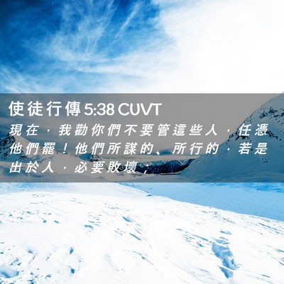 Picture 02 - 使 徒 行 傳 5:38 CUVT - 現 在 ， 我 勸 你 們 不 要 管 這 些 - Bible Verse Picture