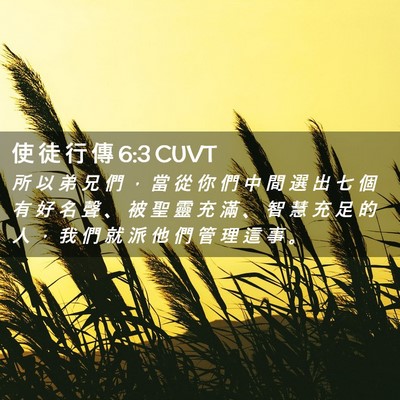 Picture 02 - 使 徒 行 傳 6:3 CUVT - 所 以 弟 兄 們 ， 當 從 你 們 中 間 - Bible Verse Picture