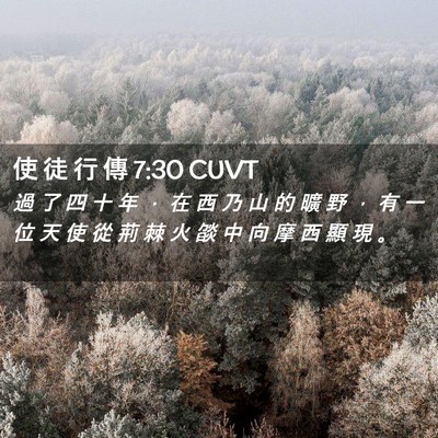Picture 02 - 使 徒 行 傳 7:30 CUVT - 過 了 四 十 年 ， 在 西 乃 山 的 曠 - Bible Verse Picture