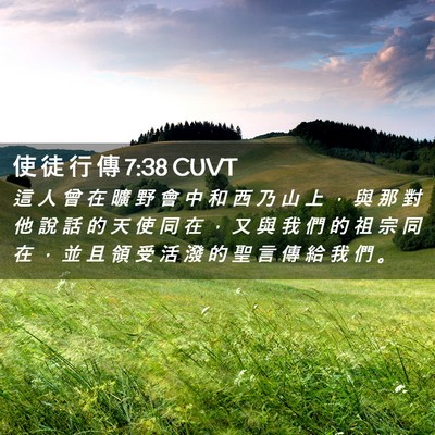 Picture 02 - 使 徒 行 傳 7:38 CUVT - 這 人 曾 在 曠 野 會 中 和 西 乃 山 - Bible Verse Picture