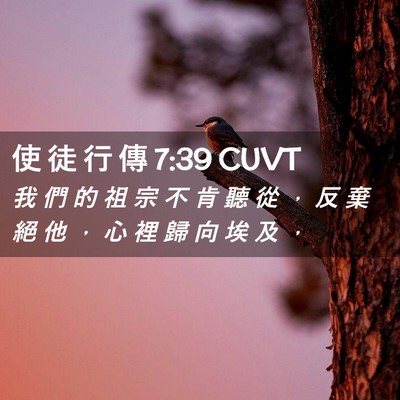 Picture 02 - 使 徒 行 傳 7:39 CUVT - 我 們 的 祖 宗 不 肯 聽 從 ， 反 棄 - Bible Verse Picture