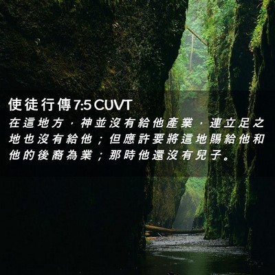 Picture 02 - 使 徒 行 傳 7:5 CUVT - 在 這 地 方 ， 神 並 沒 有 給 他 產 - Bible Verse Picture