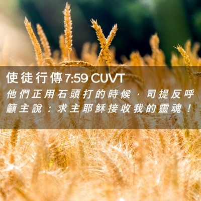 Picture 02 - 使 徒 行 傳 7:59 CUVT - 他 們 正 用 石 頭 打 的 時 候 ， 司 - Bible Verse Picture