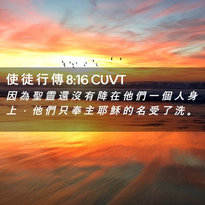 Picture 02 - 使 徒 行 傳 8:16 CUVT - 因 為 聖 靈 還 沒 有 降 在 他 們 一 - Bible Verse Picture