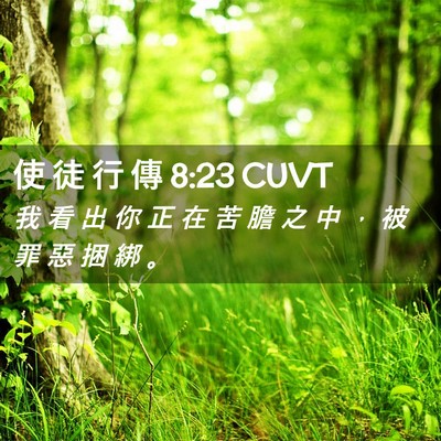 Picture 02 - 使 徒 行 傳 8:23 CUVT - 我 看 出 你 正 在 苦 膽 之 中 ， 被 - Bible Verse Picture