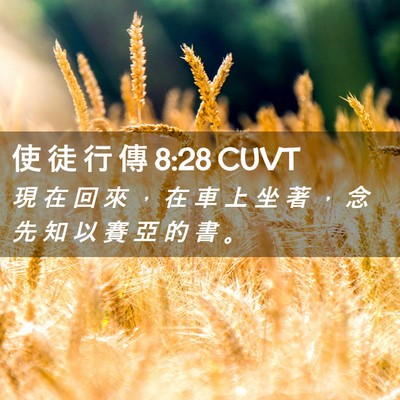 Picture 02 - 使 徒 行 傳 8:28 CUVT - 現 在 回 來 ， 在 車 上 坐 著 ， 念 - Bible Verse Picture