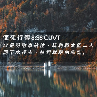 Picture 02 - 使 徒 行 傳 8:38 CUVT - 於 是 吩 咐 車 站 住 ， 腓 利 和 太 - Bible Verse Picture