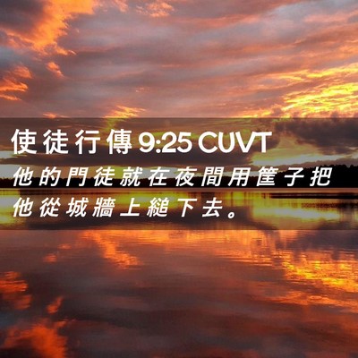 Picture 02 - 使 徒 行 傳 9:25 CUVT - 他 的 門 徒 就 在 夜 間 用 筐 子 把 - Bible Verse Picture