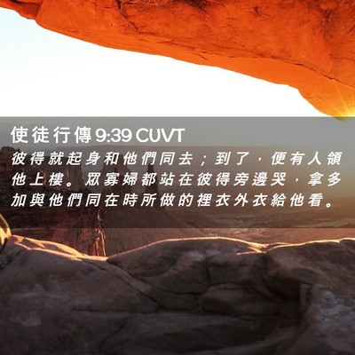 Picture 02 - 使 徒 行 傳 9:39 CUVT - 彼 得 就 起 身 和 他 們 同 去 ； 到 - Bible Verse Picture