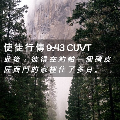 Picture 02 - 使 徒 行 傳 9:43 CUVT - 此 後 ， 彼 得 在 約 帕 一 個 硝 皮 - Bible Verse Picture