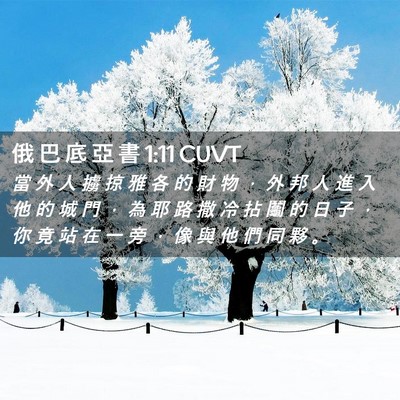 Picture 02 - 俄 巴 底 亞 書 1:11 CUVT - 當 外 人 擄 掠 雅 各 的 財 物 ， 外 - Bible Verse Picture