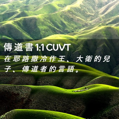 Picture 02 - 傳 道 書 1:1 CUVT - 在 耶 路 撒 冷 作 王 、 大 衛 的 兒 - Bible Verse Picture