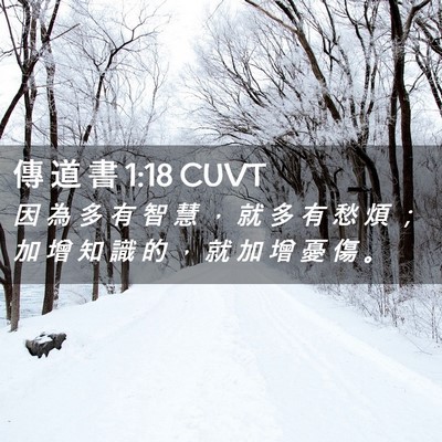 Picture 02 - 傳 道 書 1:18 CUVT - 因 為 多 有 智 慧 ， 就 多 有 愁 煩 - Bible Verse Picture