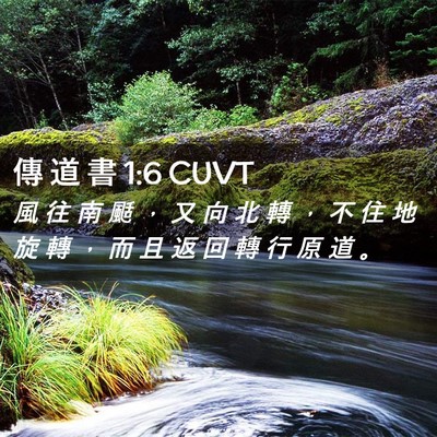 Picture 02 - 傳 道 書 1:6 CUVT - 風 往 南 颳 ， 又 向 北 轉 ， 不 住 - Bible Verse Picture