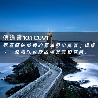 Picture 02 - 傳 道 書 10:1 CUVT - 死 蒼 蠅 使 做 香 的 膏 油 發 出 臭 - Bible Verse Picture