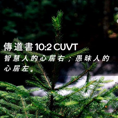 Picture 02 - 傳 道 書 10:2 CUVT - 智 慧 人 的 心 居 右 ； 愚 昧 人 的 - Bible Verse Picture