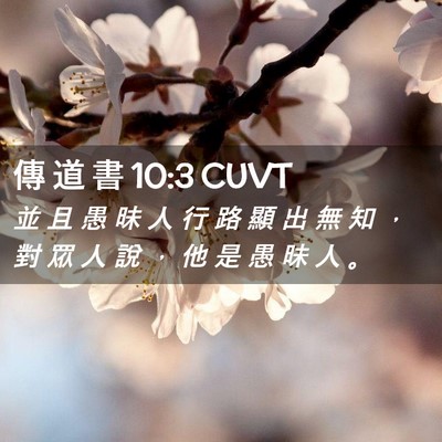 Picture 02 - 傳 道 書 10:3 CUVT - 並 且 愚 昧 人 行 路 顯 出 無 知 ， - Bible Verse Picture