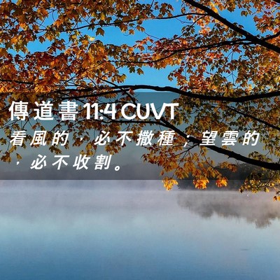 Picture 02 - 傳 道 書 11:4 CUVT - 看 風 的 ， 必 不 撒 種 ； 望 雲 的 - Bible Verse Picture