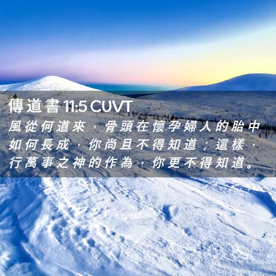 Picture 02 - 傳 道 書 11:5 CUVT - 風 從 何 道 來 ， 骨 頭 在 懷 孕 婦 - Bible Verse Picture