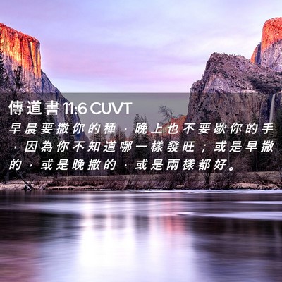 Picture 02 - 傳 道 書 11:6 CUVT - 早 晨 要 撒 你 的 種 ， 晚 上 也 不 - Bible Verse Picture