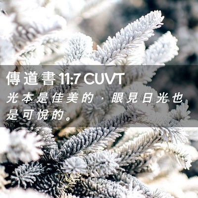 Picture 02 - 傳 道 書 11:7 CUVT - 光 本 是 佳 美 的 ， 眼 見 日 光 也 - Bible Verse Picture