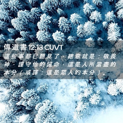 Picture 02 - 傳 道 書 12:13 CUVT - 這 些 事 都 已 聽 見 了 ， 總 意 就 - Bible Verse Picture