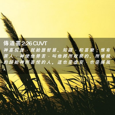 Picture 02 - 傳 道 書 2:26 CUVT - 神 喜 悅 誰 ， 就 給 誰 智 慧 、 知 - Bible Verse Picture