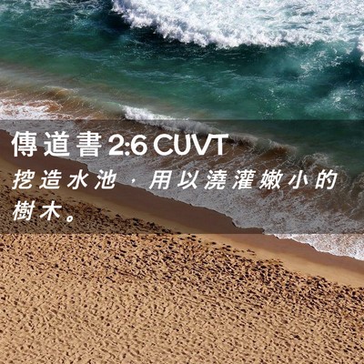 Picture 02 - 傳 道 書 2:6 CUVT - 挖 造 水 池 ， 用 以 澆 灌 嫩 小 的 - Bible Verse Picture
