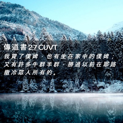 Picture 02 - 傳 道 書 2:7 CUVT - 我 買 了 僕 婢 ， 也 有 生 在 家 中 - Bible Verse Picture