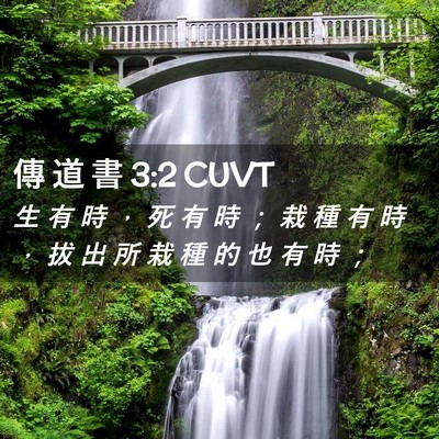 Picture 02 - 傳 道 書 3:2 CUVT - 生 有 時 ， 死 有 時 ； 栽 種 有 時 - Bible Verse Picture