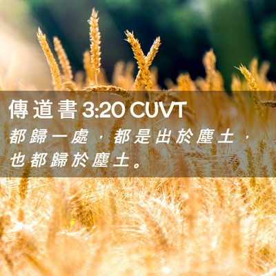 Picture 02 - 傳 道 書 3:20 CUVT - 都 歸 一 處 ， 都 是 出 於 塵 土 ， - Bible Verse Picture