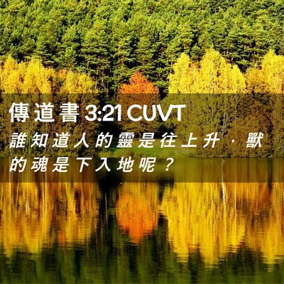 Picture 02 - 傳 道 書 3:21 CUVT - 誰 知 道 人 的 靈 是 往 上 升 ， 獸 - Bible Verse Picture