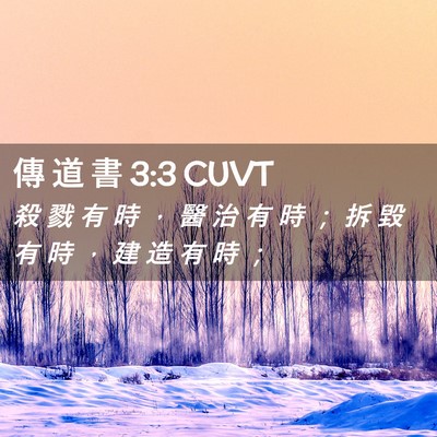 Picture 02 - 傳 道 書 3:3 CUVT - 殺 戮 有 時 ， 醫 治 有 時 ； 拆 毀 - Bible Verse Picture