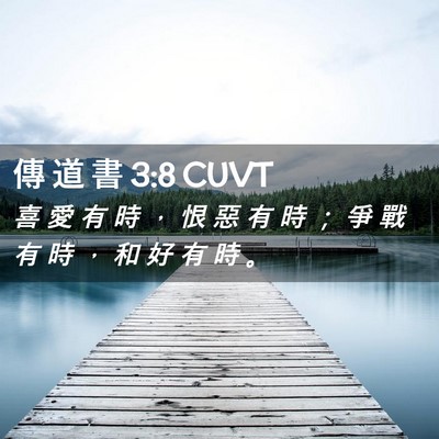 Picture 02 - 傳 道 書 3:8 CUVT - 喜 愛 有 時 ， 恨 惡 有 時 ； 爭 戰 - Bible Verse Picture