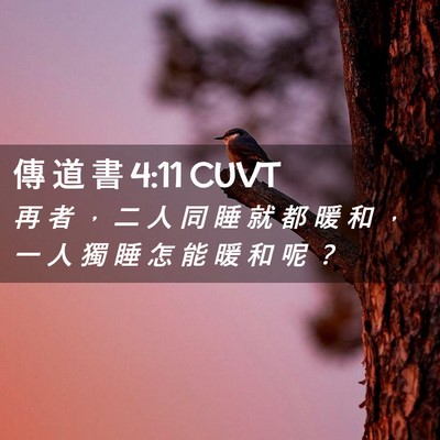 Picture 02 - 傳 道 書 4:11 CUVT - 再 者 ， 二 人 同 睡 就 都 暖 和 ， - Bible Verse Picture
