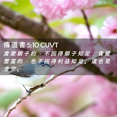 Picture 02 - 傳 道 書 5:10 CUVT - 貪 愛 銀 子 的 ， 不 因 得 銀 子 知 - Bible Verse Picture