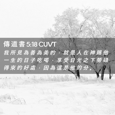 Picture 02 - 傳 道 書 5:18 CUVT - 我 所 見 為 善 為 美 的 ， 就 是 人 - Bible Verse Picture