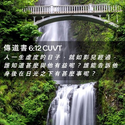 Picture 02 - 傳 道 書 6:12 CUVT - 人 一 生 虛 度 的 日 子 ， 就 如 影 - Bible Verse Picture