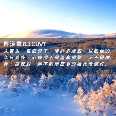 Picture 02 - 傳 道 書 6:3 CUVT - 人 若 生 一 百 個 兒 子 ， 活 許 多 - Bible Verse Picture