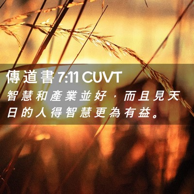 Picture 02 - 傳 道 書 7:11 CUVT - 智 慧 和 產 業 並 好 ， 而 且 見 天 - Bible Verse Picture