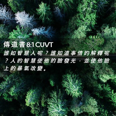 Picture 02 - 傳 道 書 8:1 CUVT - 誰 如 智 慧 人 呢 ？ 誰 知 道 事 情 - Bible Verse Picture