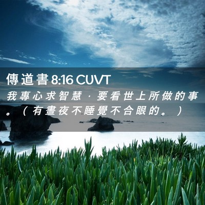 Picture 02 - 傳 道 書 8:16 CUVT - 我 專 心 求 智 慧 ， 要 看 世 上 所 - Bible Verse Picture