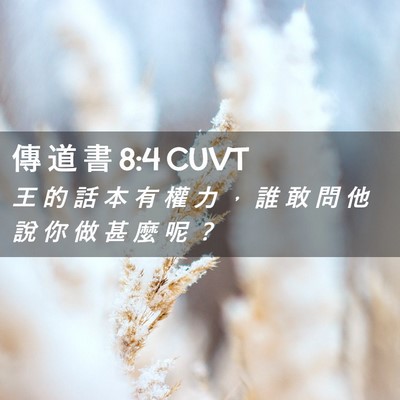 Picture 02 - 傳 道 書 8:4 CUVT - 王 的 話 本 有 權 力 ， 誰 敢 問 他 - Bible Verse Picture